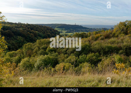 Herbstfarben auf Dursley Woods mit Tyndale Denkmal Stockfoto