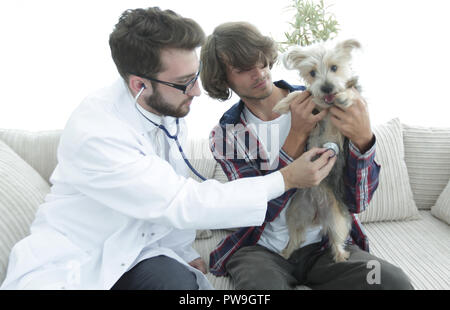 Liebevolle Eigentümer mit einem Yorkshire Terrier im Büro eines Tierarztes Stockfoto