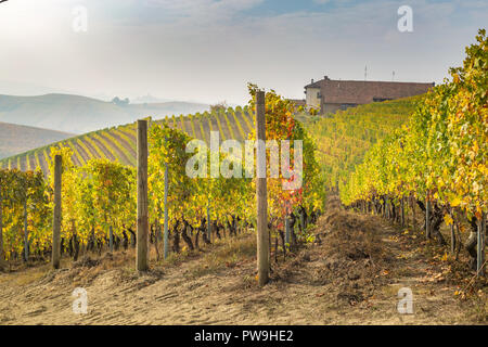 Langhe, Piemont, Italien. Herbst Landschaft Stockfoto