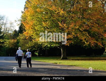 Ein reifes Paar, das durch Rouken Glen Park, East Renfrewshire, Schottland, Großbritannien, Europa bei warmem Herbstsonnen spazieren geht. Stockfoto