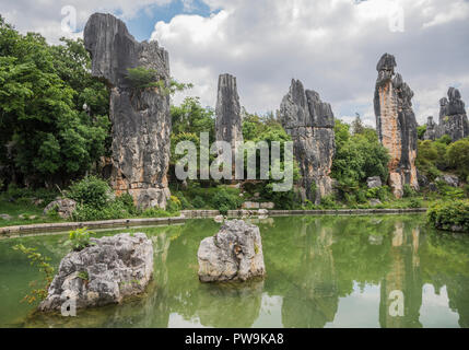 Der Steinwald in Kunming in der Provinz Yunnan im Südwesten Chinas. Stockfoto