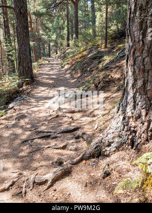 Sendero. Valle de La Barranca de la Sierra de Guadarrama y Dentro del'Parque Regional de la cuenca Alta del Manzanares" (Reserva de la Biosfera por l Stockfoto