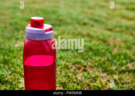 Rotes Wasser bootle auf dem Gras in einem Park Stockfoto