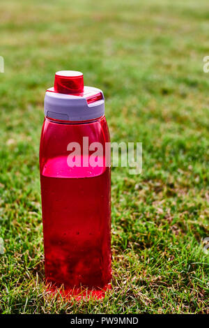 Rotes Wasser bootle auf dem Gras in einem Park Stockfoto