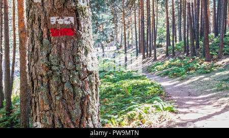 Señales de Sendero. Camino de las Pesquerías. Sierra de Guadarrama. La Granja de San Ildefonso. Segovia. Castilla León. España Stockfoto