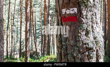 Señales de Sendero. Camino de las Pesquerías. Sierra de Guadarrama. La Granja de San Ildefonso. Segovia. Castilla León. España Stockfoto