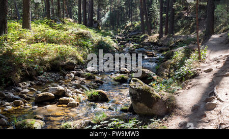 Camino de las Pesquerías. Sierra de Guadarrama. La Granja de San Ildefonso. Segovia. Castilla León. España Stockfoto