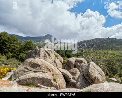 Formaciones graníticas. Valle de La Barranca de la Sierra de Guadarrama y Dentro del'Parque Regional de la cuenca Alta del Manzanares" (Reserva de la Stockfoto