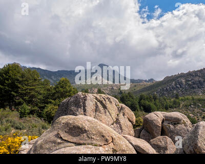 Formaciones graníticas. Valle de La Barranca de la Sierra de Guadarrama y Dentro del'Parque Regional de la cuenca Alta del Manzanares" (Reserva de la Stockfoto