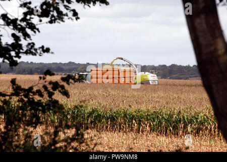 Claas Jaguar Maisernte Maschine wird von einem Traktor abgeschleppt wird. Getreide, Ernte, Harvester. Stockfoto