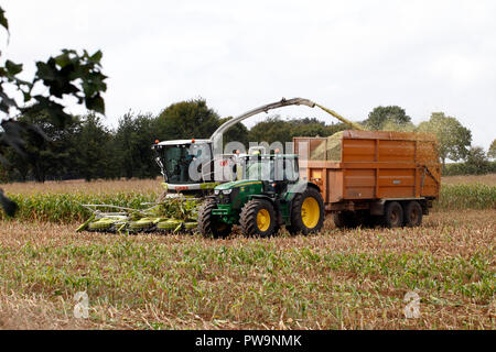 Claas Jaguar Maisernte Maschine wird von einem Traktor abgeschleppt wird. Getreide, Ernte, Harvester. Stockfoto