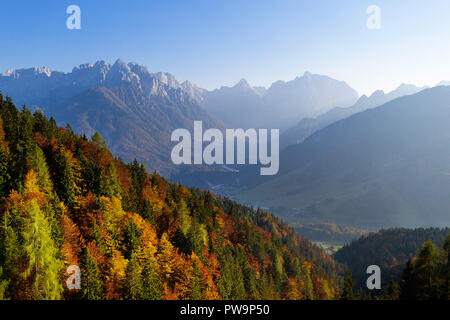 Herbstfarben im Wald mit Bergen im Hintergrund bei Sonnenuntergang, Stockfoto