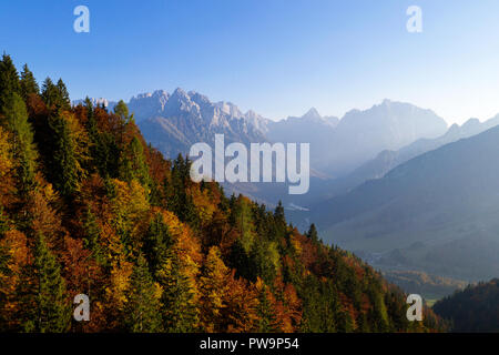 Herbstfarben im Wald mit Bergen im Hintergrund bei Sonnenuntergang, Stockfoto