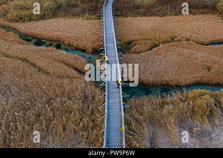 Holz- Spaziergang weg über chemische Reed auf dem Sumpf, Mutter und Sohn in gelben Jacken, die von der Brücke suchen, Luftaufnahme Schuß Stockfoto