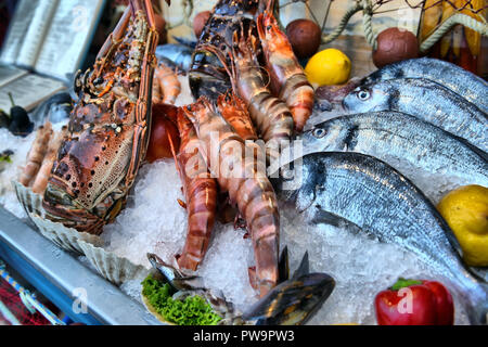 Gemischte Meeresfrüchte auf ein fischhändler Zähler Stockfoto