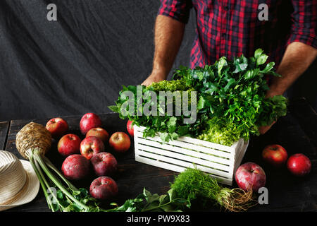 Bauer mit frisch Kräuter in der Holzkiste auf dunklen Holztisch mit roten Äpfeln. Landwirtschaft und Gartenbau Konzept Stockfoto