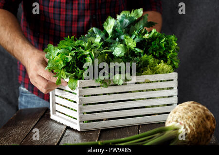 Bauer mit frisch Kräuter in der Holzkiste auf dunklem Hintergrund. Ernte Konzept Stockfoto