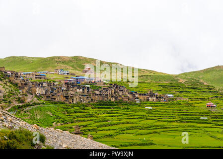 Grüne Terrassenfelder und traditionelle Architektur in der alten tibetischen Nar Dorf, Annapurna Conservation Area, Nepal Stockfoto