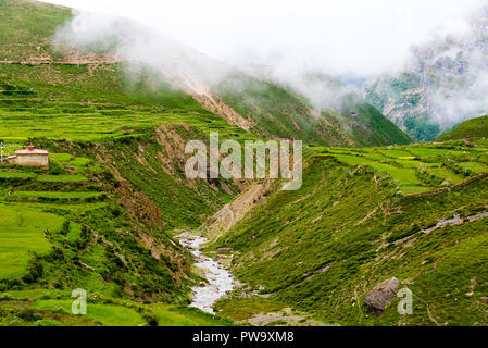 Grüne Terrassenfelder und traditionelle Architektur in der alten tibetischen Nar Dorf, Annapurna Conservation Area, Nepal Stockfoto