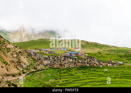 Grüne Terrassenfelder und traditionelle Architektur in der alten tibetischen Nar Dorf, Annapurna Conservation Area, Nepal Stockfoto