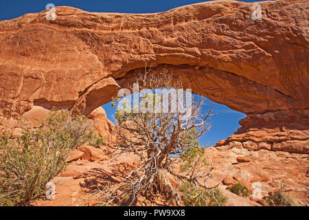 Fenster nach Süden im Bereich der Arches National Park. Utah. USA 2 Stockfoto