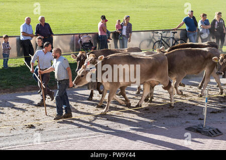 2018 Viehschau Flums (Rinder) Stockfoto