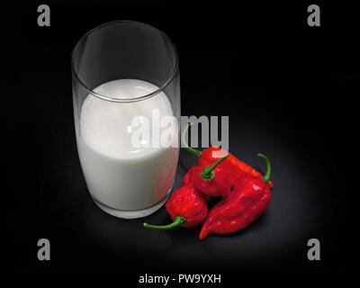 Eine der Welten heißesten Chili Bhut Jolokia und ein Glas Milch auf schwarzem Hintergrund Stockfoto