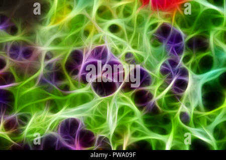 Fantasy abstrakte Fraktal Kunst Muster Stockfoto