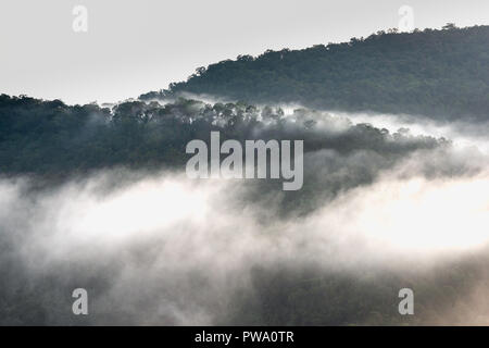 Nebligen berge Khao Yai Nationalpark Stockfoto