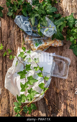 Kunststoffabfälle in der Landschaft aufgegeben. Umwelt verschmutzung durch Müll von Vegetation überwuchert. Stockfoto