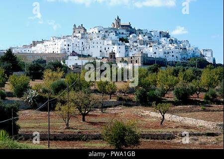 Die malerische Altstadt und Zitadelle von Ostuni entfernt, auf einem Hügel erbaut und von Olivenhainen umgeben; es wird allgemein als "die Weiße Stadt" bezeichnet. Stockfoto