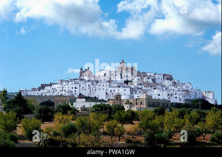 Die malerische Altstadt und Zitadelle von Ostuni entfernt, auf einem Hügel erbaut und von Olivenhainen umgeben; es wird allgemein als "die Weiße Stadt" bezeichnet. Stockfoto