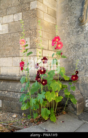 Türme der Malve durch den Haupteingang der Kirche der Heiligen Dreifaltigkeit in der Cotswold Dorf Minchinhampton. Stockfoto