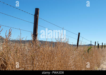 Stacheldrahtzaun in Castle Rock, Colorado, dass Grenzen ein Pferd Weiden. Stockfoto