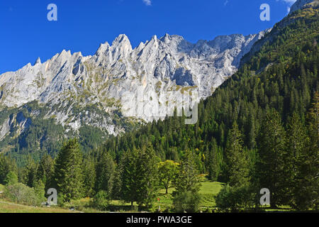 Blick auf das Engelhorn Bergen oberhalb von Grindelwald im Berner Oberland, Schweiz von Pinien im Vordergrund gerahmt Stockfoto