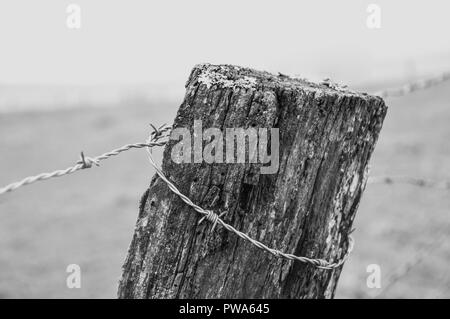 Schwarz/Weiß-Bild mit einem hölzernen Zaun Pfosten oben mit rostigen Stacheldraht gebunden - Kabel Stockfoto