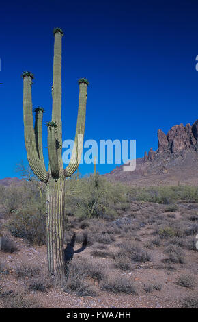Blick auf Superstition-berg in den Wüstengebieten Apache Junction, Arizona in der Nähe von Phoenix Stockfoto