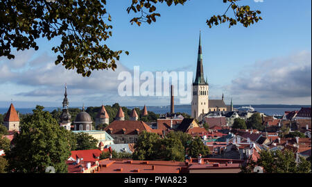 Die Stadt Tallinn in Estland. Die Altstadt ist eine der am besten erhaltenen mittelalterlichen Städte in Europa und gehört zum UNESCO Weltkulturerbe. Tallinn ist t Stockfoto