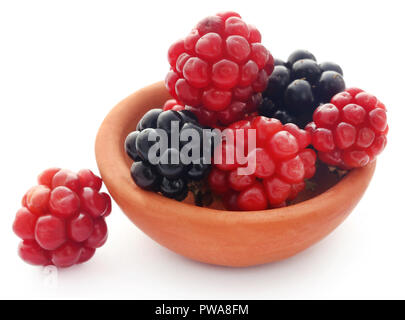 Frische Brombeeren in Ton Schüssel über weißen Hintergrund Stockfoto