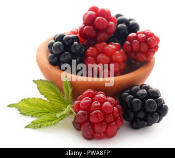 Frische Brombeeren in Ton Schüssel über weißen Hintergrund Stockfoto