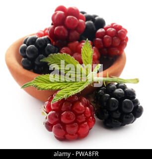 Frische Brombeeren in Ton Schüssel über weißen Hintergrund Stockfoto
