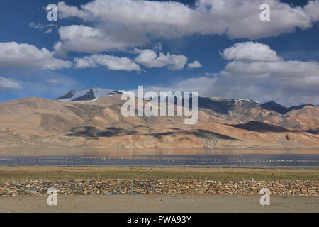 Gebetsfahnen vor der Tso Moriri See, dem Juwel von Ladakh, Indien Stockfoto