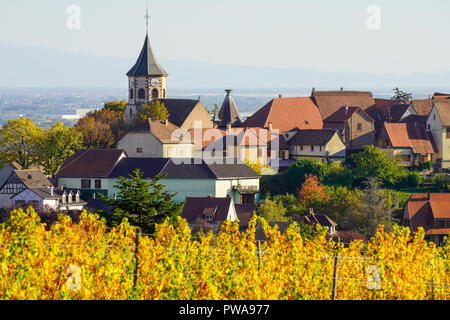 Herbst Farben in die Weinberge rund um das Dorf Riquewihr, Elsass, Frankreich. Stockfoto