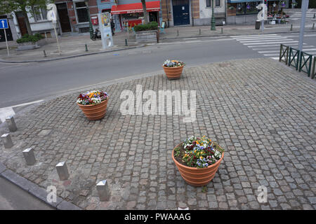 Brüssel, Belgien - 17 April 2017: Blumen auf einen Korb auf Straßen von Brüssel, Belgien, Europa angebaut Stockfoto