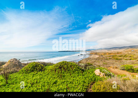 Golden Shore in Pismo Beach, Kalifornien Stockfoto