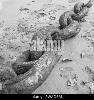 Abstrakte schwarz-weiß Bild von großen Rost Bügeleisen Hafen festmachen Ketten. Metapher starke Verbindungen, stärkste Glied, Schmiede links, enge Beziehungen. Stockfoto