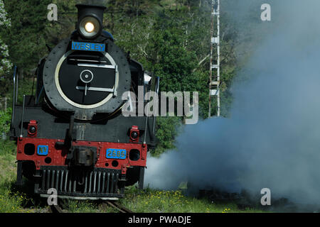 Durban, KwaZulu-Natal, Südafrika, Jahrgang Klasse 19D Dampflokomotive der Kesseldruck release, sicher ziehen Inchanga Choo-Choo Stockfoto