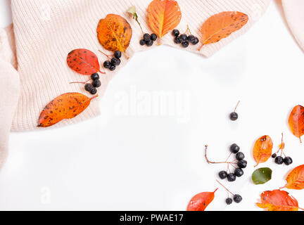 Woomen sanften Beige rosa Pullover, trockene Blätter im Herbst und Aronia Beeren auf einem weißen Hintergrund, Herbst Konzept., Herbst einkaufen und Rabatte Konzept. Flach, Ansicht von oben, kopieren Raum Stockfoto