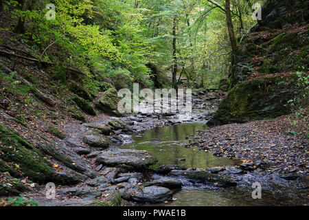 Wanderweg durch das Ehrenbachtal, Route Ehrenbachklamm, nahe Brodenbach, Deutschland Stockfoto