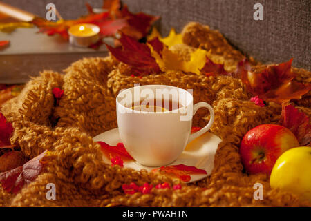 Weiße Tasse mit heißem Kaffee, Dampf, Wollstoff umgibt eine Untertasse, Ahorn bunte Blätter auf einem Tuch, zwei Äpfeln und Kastanien, Herbst, Stockfoto